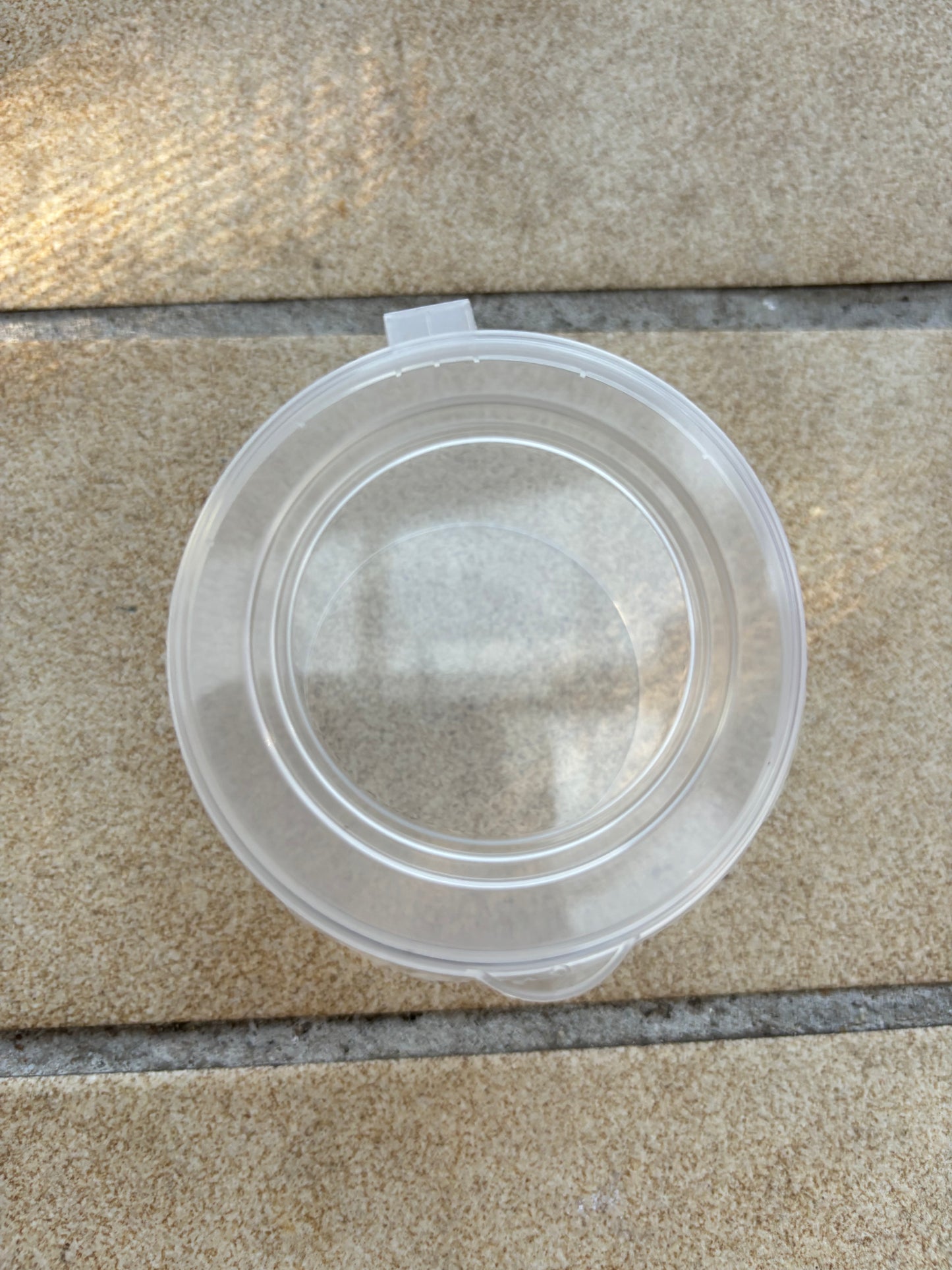 Hinged lid containers 100ml volume good to use for slings and other small invertebrates.