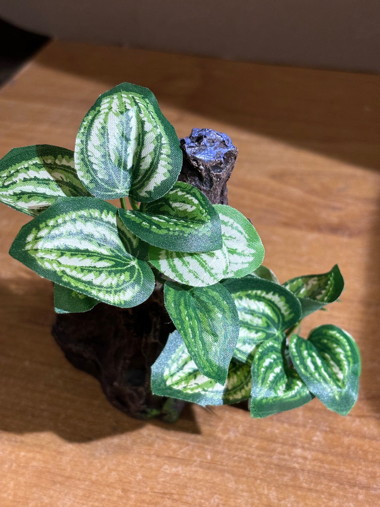 Enclosure decor with fake plants