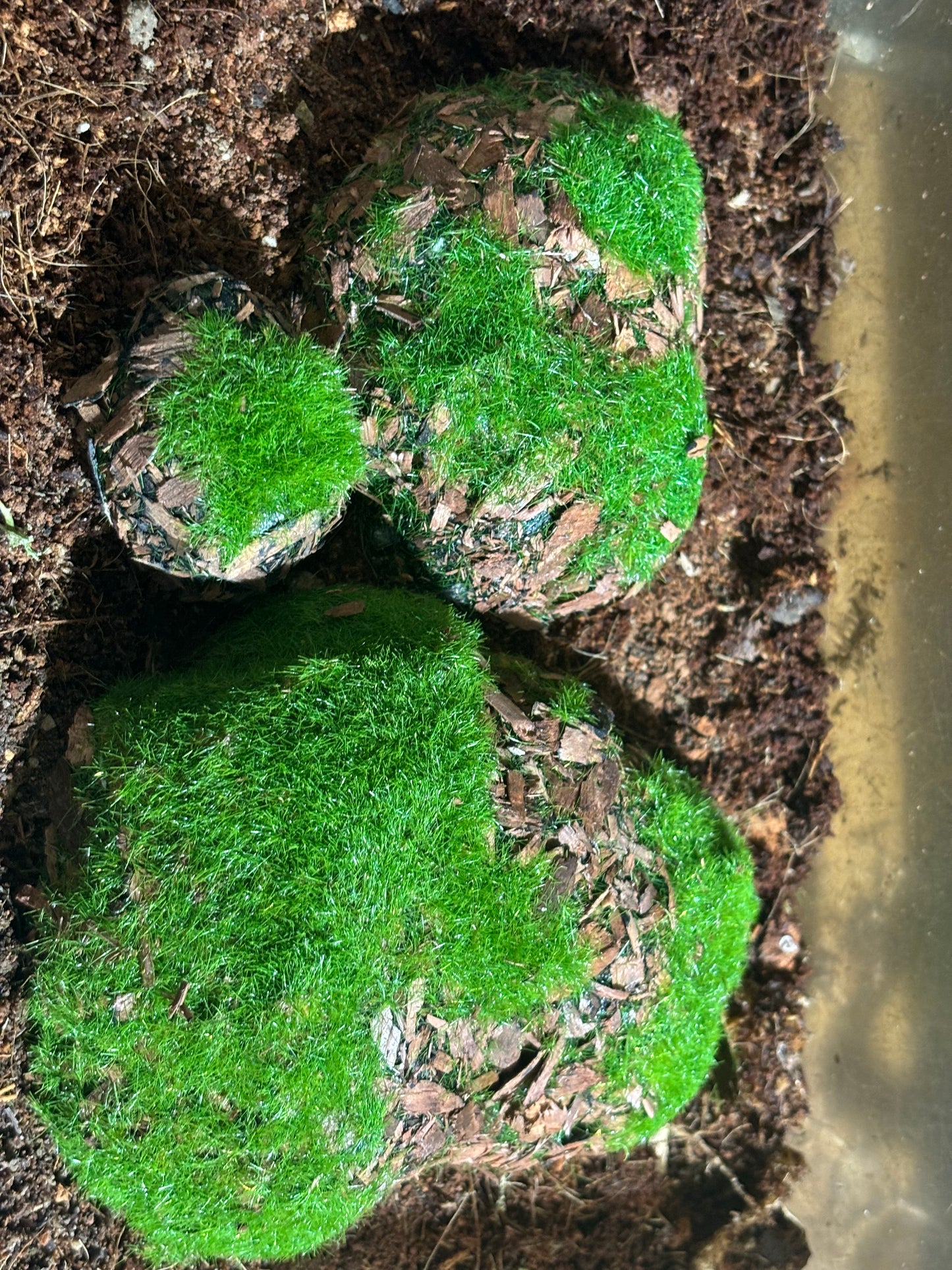 Fake rocks with moss and wood chips on top made of foam pack of 4 different sizes.