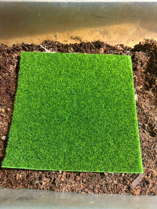 Fake grass 15cm x 15cm good for the bottom or sides for jumping spiders and huntsman spiders