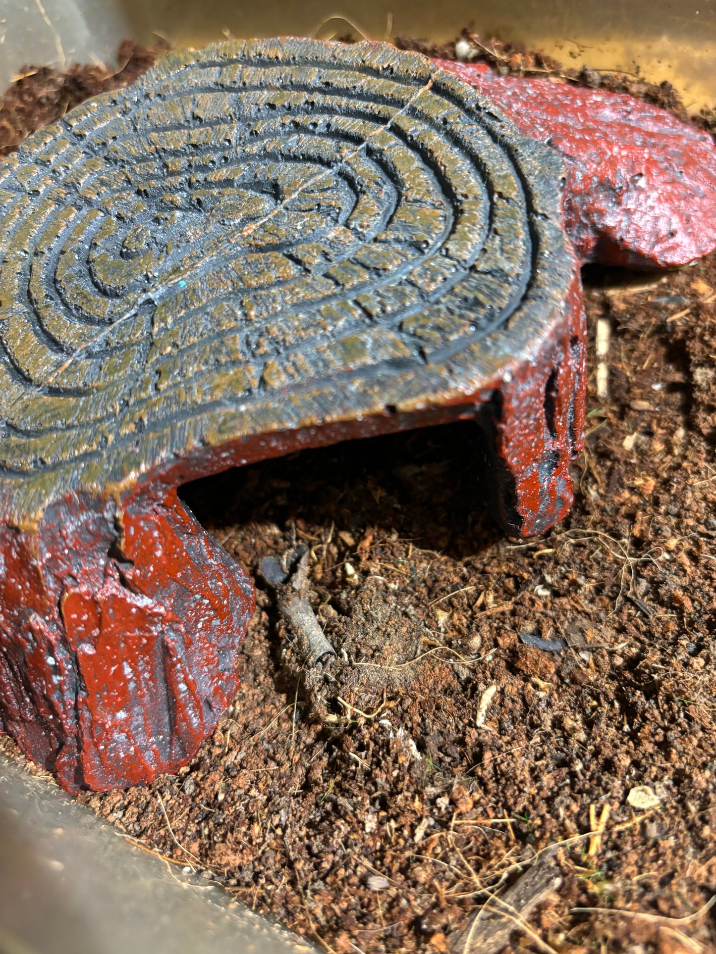 Stump hide for adult or juvenile tarantulas.