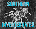 Southern Invertebrates